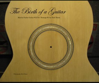 The Birth of a Guitar book cover