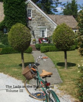 The Lady in the Stone House Volume III book cover
