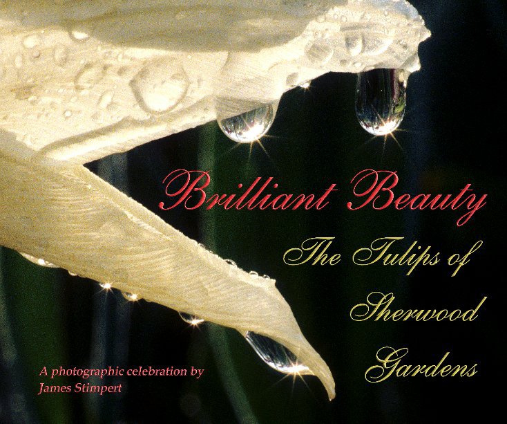 Visualizza Brilliant Beauty (Hardcover) di James Stimpert
