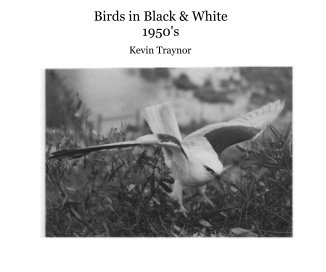 Birds in Black & White 1950's book cover