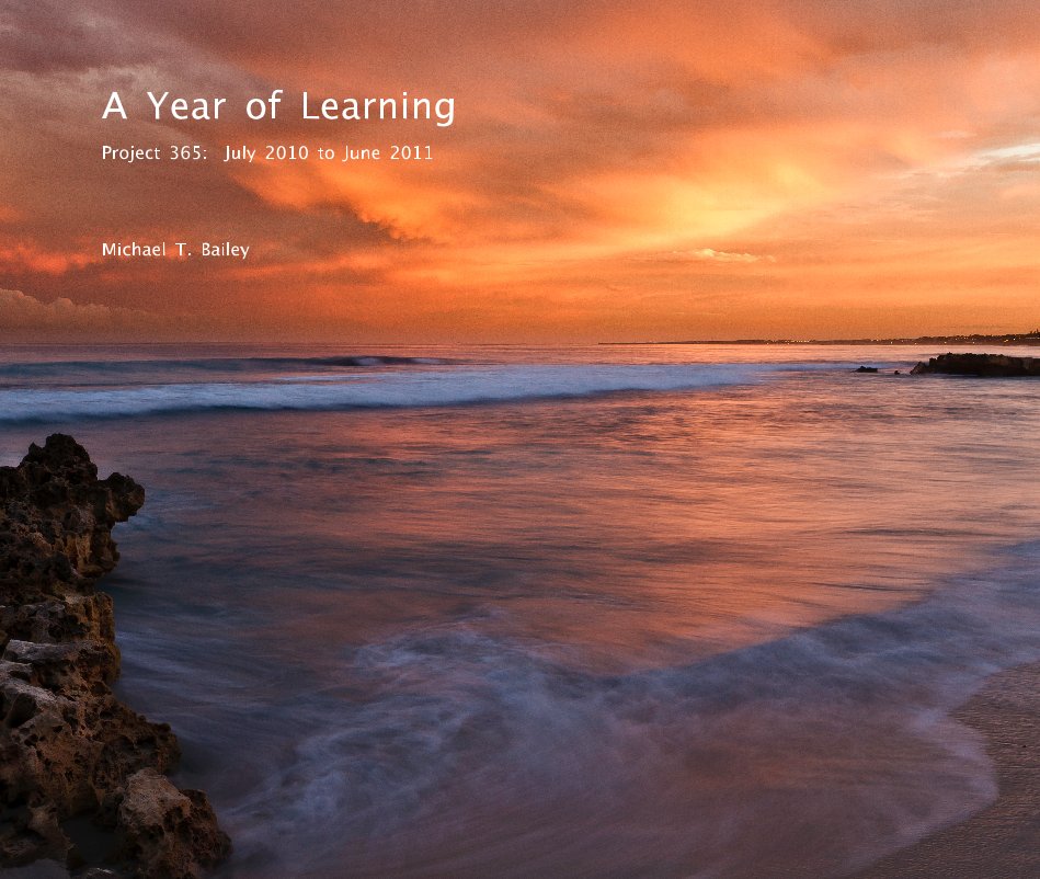 View A Year of Learning Project 365: July 2010 to June 2011 by Michael T. Bailey