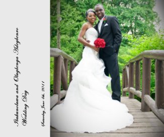 Ibukunoluwa and Olugbenga Adegbenro Wedding Day book cover