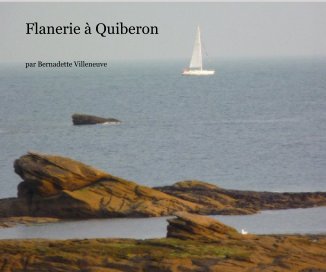 Flanerie à Quiberon book cover