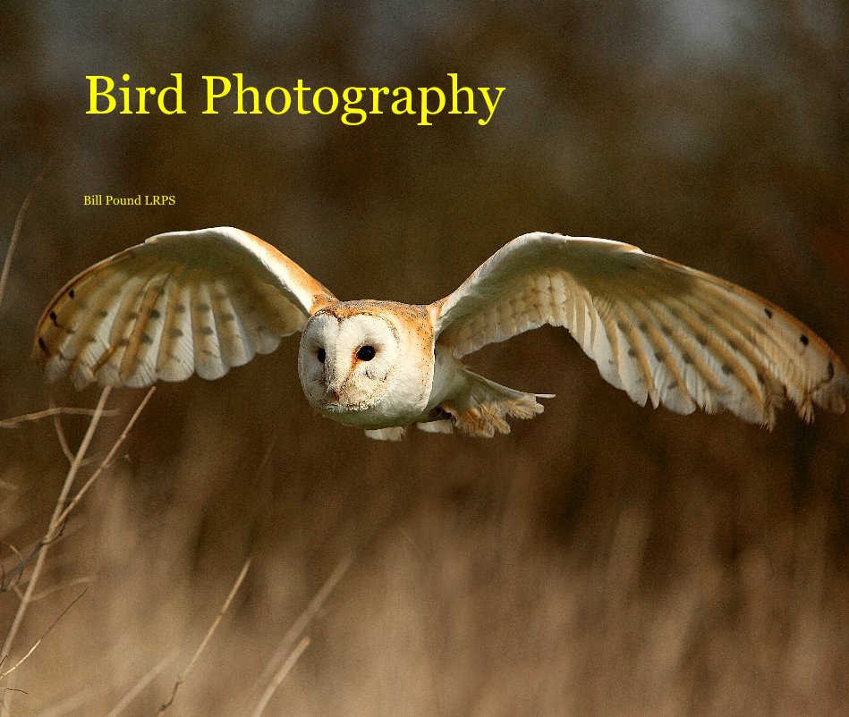 View Bird Photography by Bill Pound LRPS