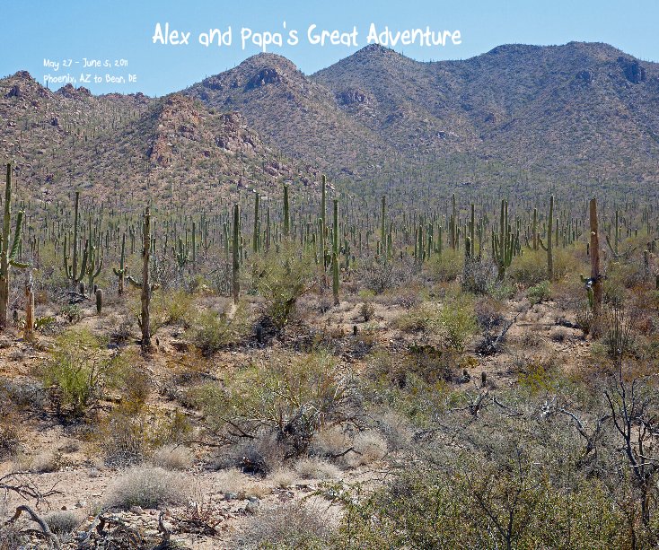 Visualizza Alex and Papa's Great Adventure May 27 - June 5, 2011 Phoenix, AZ to Bear, DE di Tuscon, AZ to Bear, DE