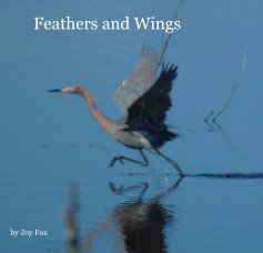 Feathers and Wings book cover