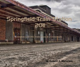 Springfield Train Station 2011 book cover