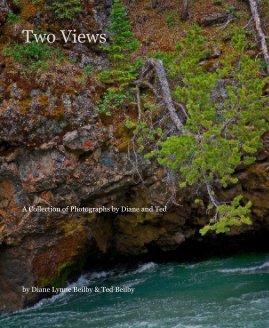 Two Views book cover