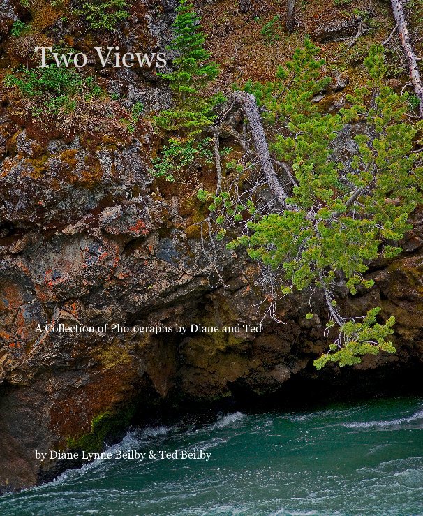 View Two Views by Diane Lynne Beilby & Ted Beilby