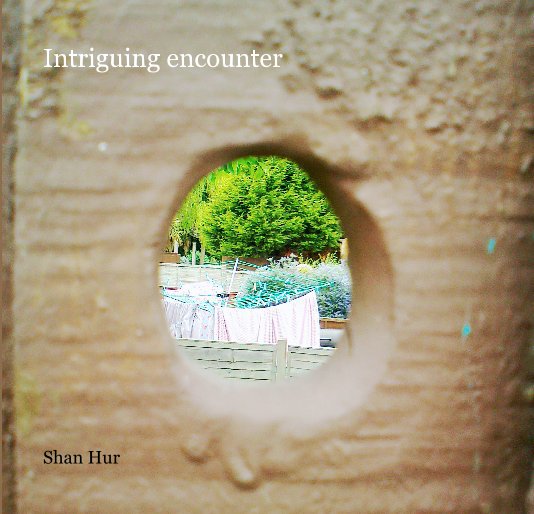 Ver Intriguing encounter por Shan Hur