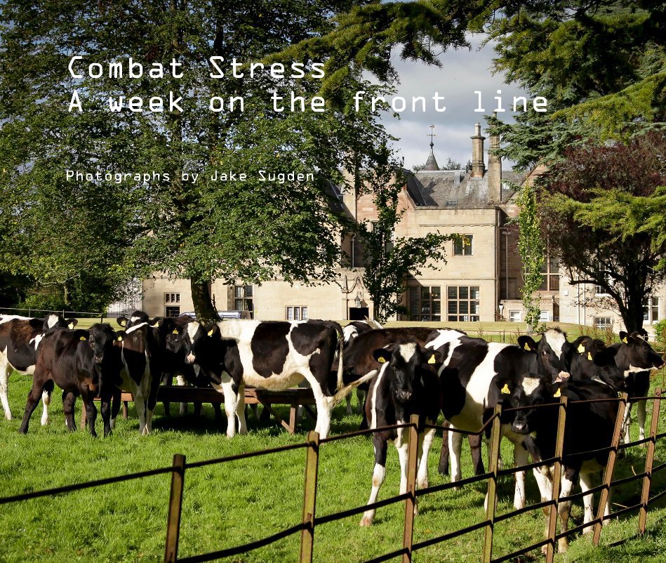 View Combat Stress (Large) by Photographs by Jake Sugden