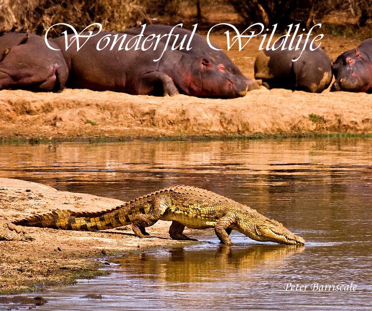 View Wonderful Wildlife by Peter Barriscale