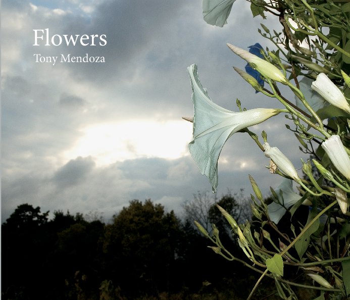 View Flowers by Tony Mendoza