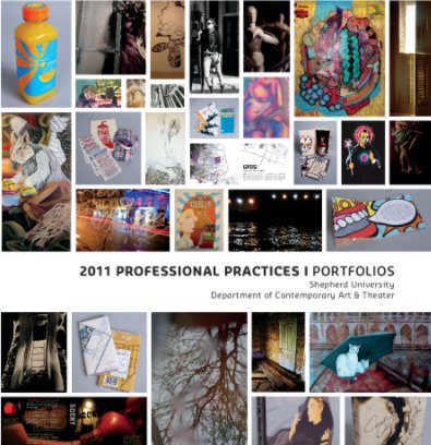 2011 Professional Practices I Portfolios book cover