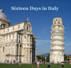 Sixteen Days in Italy book cover