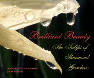 Brilliant Beauty (Softcover) book cover