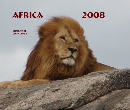 AFRICA 2008 book cover