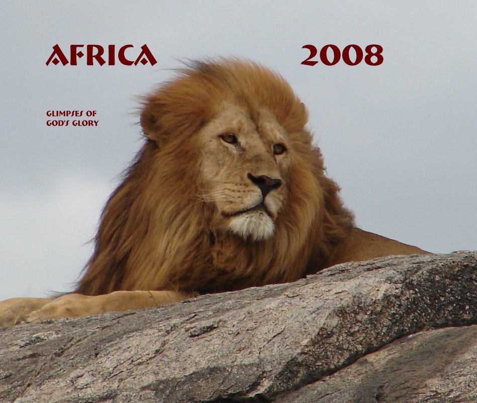 Ver AFRICA 2008 por Brian Wieland