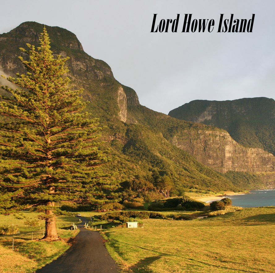 View Lord Howe Island by Sue Johanson