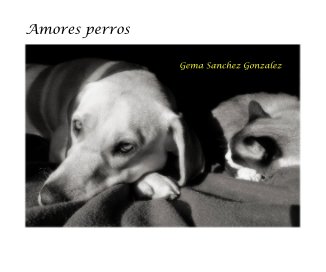 Amores perros book cover