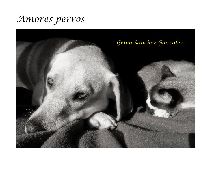 View Amores perros by Gema Sanchez Gonzalez