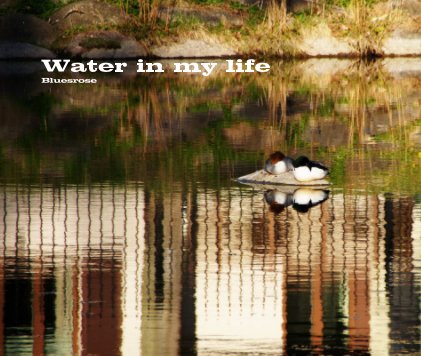 Water in my life book cover