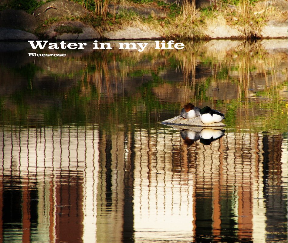 Ver Water in my life por Bluesrose