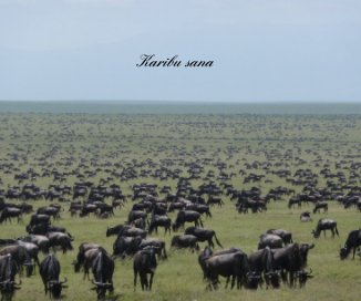 Safari Karibu sana book cover