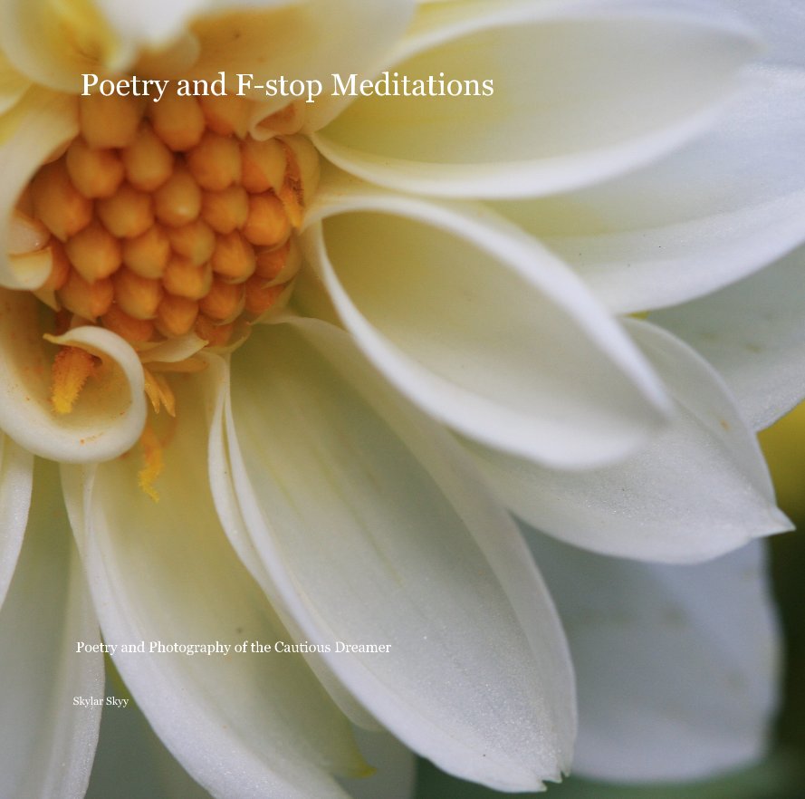 View Poetry and F-stop Meditations by Skylar Skyy
