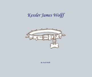 Kessler James Wolff book cover