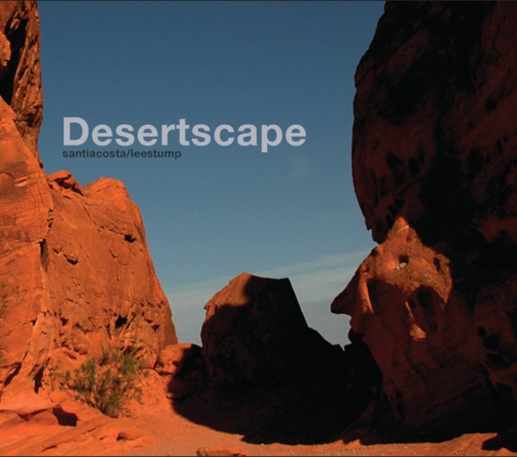 View Desertscape by Santi Acosta/Lee Stump