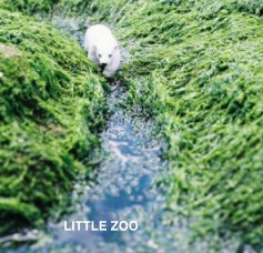 Little zoo book cover