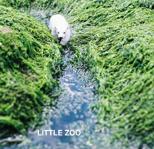 View Little zoo by by Dudnikova Elissa