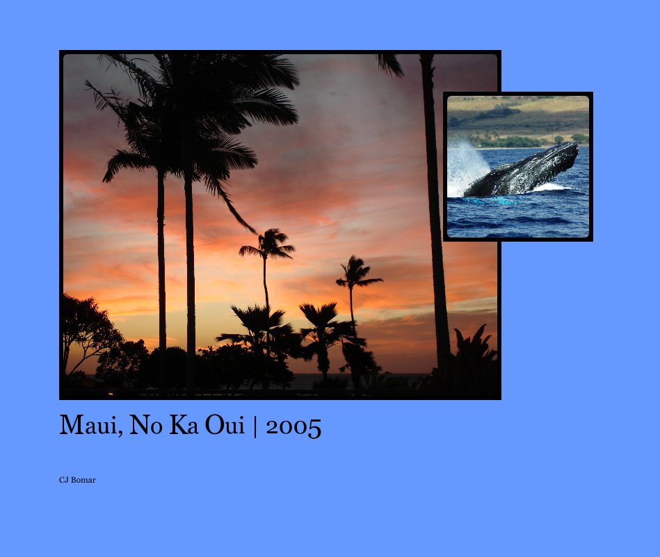 View Maui, No Ka Oui | 2005 by CJ Bomar