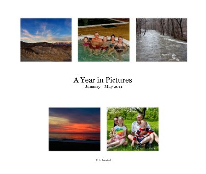 A Year in Pictures January - May 2011 book cover