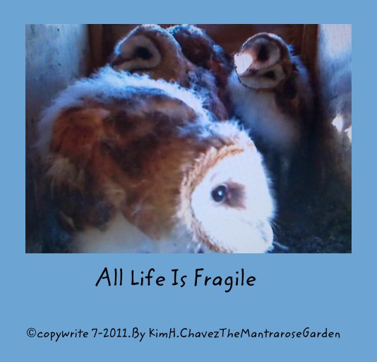 Ver All Life Is Fragile por ©copywrite 7-2011.By KimH.ChavezTheMantraroseGarden