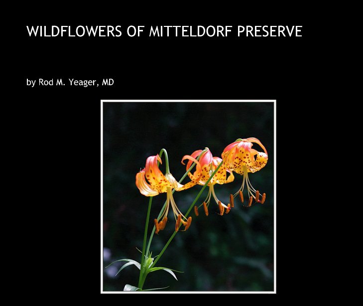 View WILDFLOWERS OF MITTELDORF PRESERVE by Rod M. Yeager, MD
