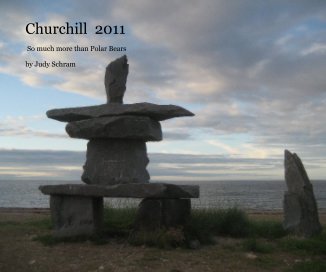 Churchill 2011 book cover