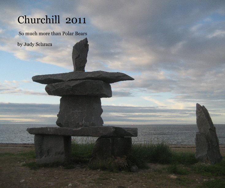 Visualizza Churchill 2011 di Judy Schram