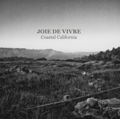 JOIE DE VIVRE book cover