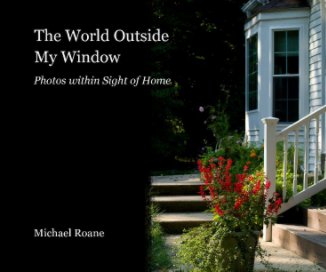 The World Outside My Window book cover