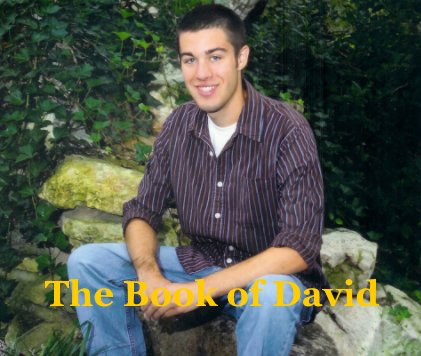 The Book of David book cover