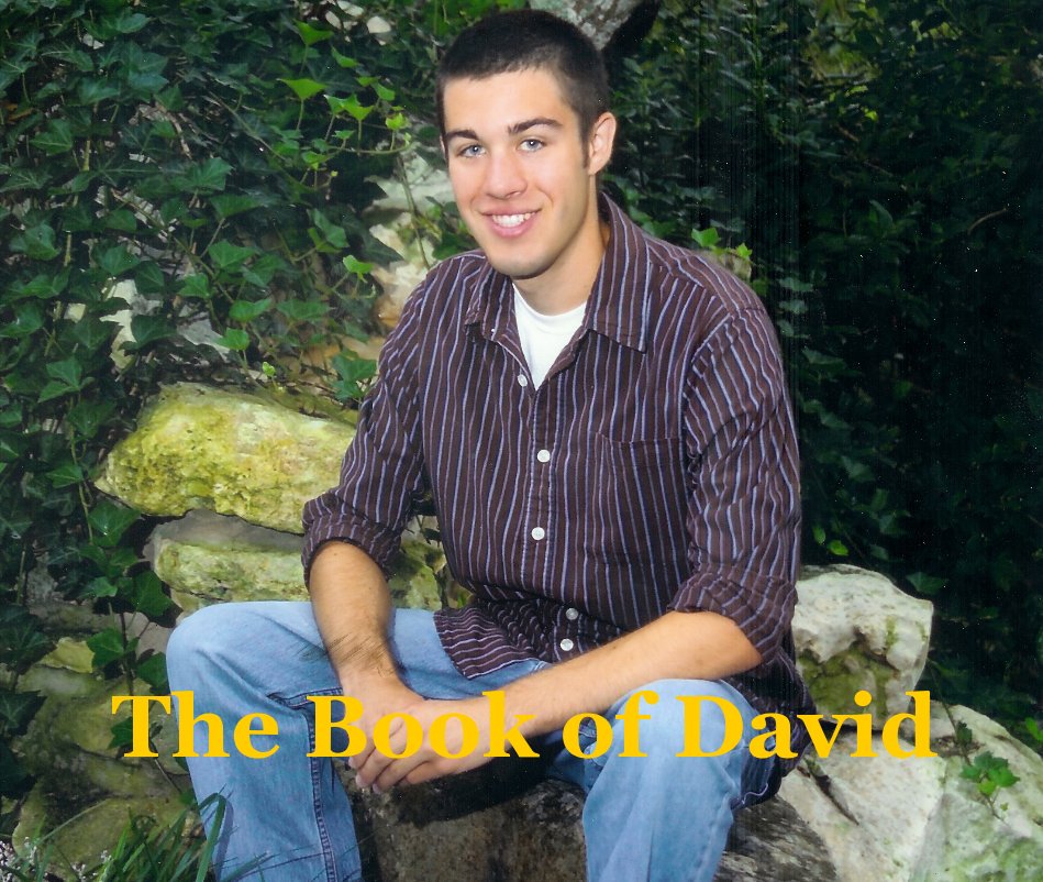 View The Book of David by Mom and Dad