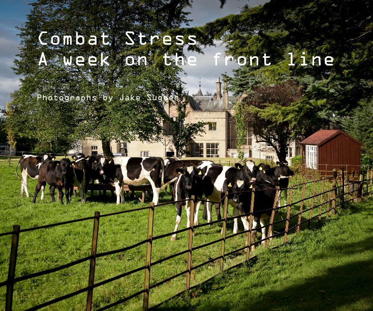View Combat Stress (Small) by Photographs by Jake Sugden