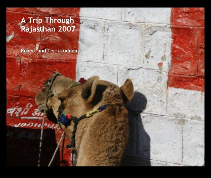 A Trip Through Rajasthan 2007 book cover
