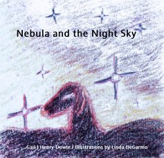 Nebula and the Night Sky book cover