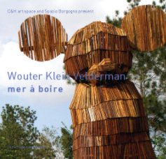 Wouter Klein Velderman book cover