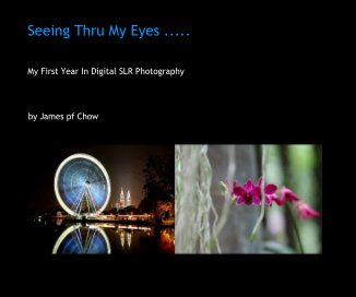 "Seeing Thru My Eyes ....." book cover