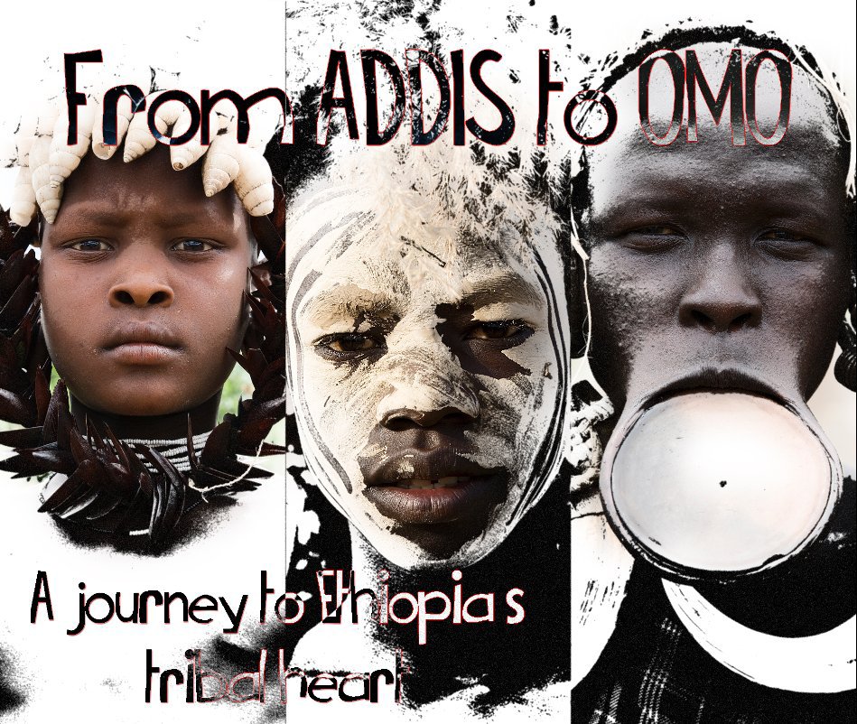 Visualizza From ADDIS to OMO
(Large format) di Nicholas J Perry