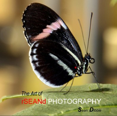 The Art of rSEANd PHOTOGRAPHY book cover